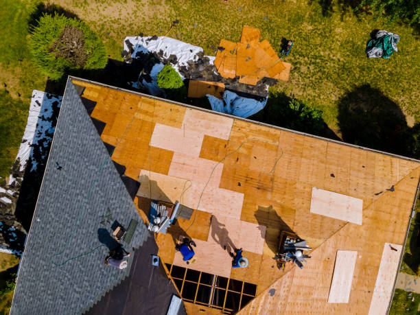 Best Gutter Installation and Roofing  in Mount Vista, WA