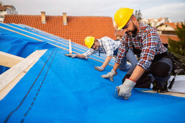 Best Metal Roofing Contractor  in Mount Vista, WA