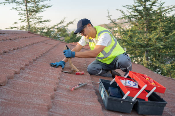 Best Metal Roofing Contractor  in Mount Vista, WA