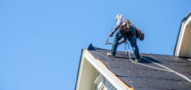 Best Gutter Installation and Roofing  in Mount Vista, WA